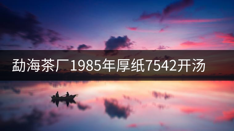 勐海茶廠1985年厚紙7542開(kāi)湯品鑒