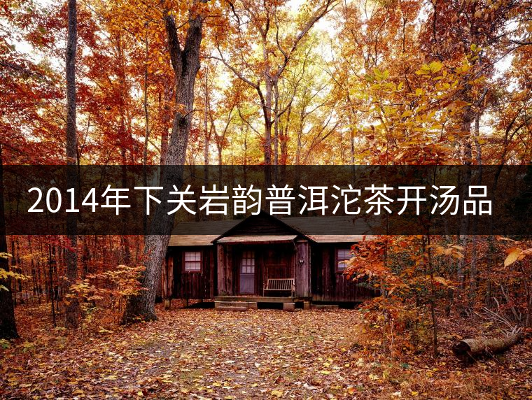 2014年下關巖韻普洱沱茶開湯品鑒