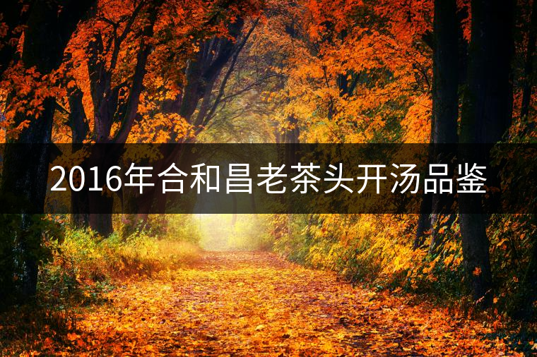 2016年合和昌老茶頭開湯品鑒