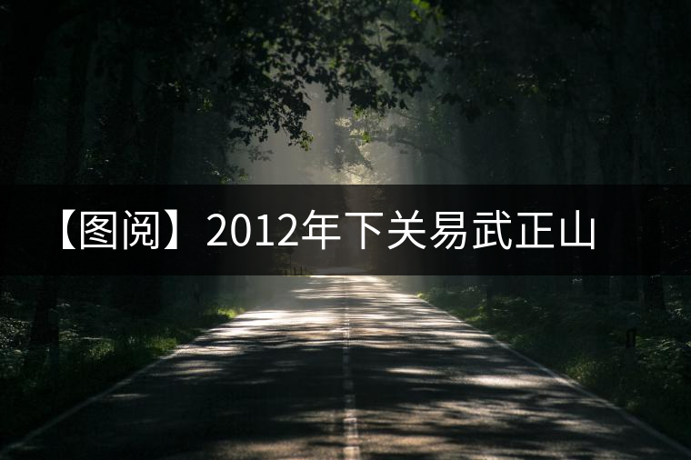 【圖閱】2012年下關(guān)易武正山老樹沱鑒賞
