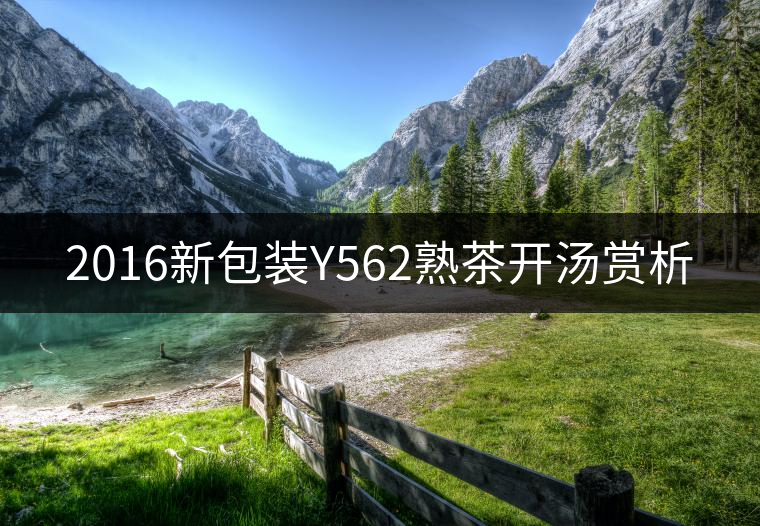 2016新包裝Y562熟茶開湯賞析 2016新包裝Y562熟茶開湯賞析
