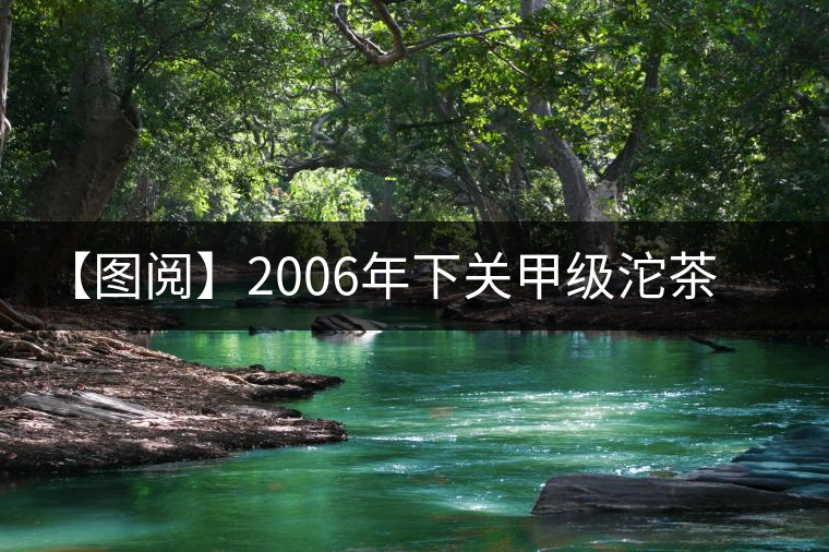 【圖閱】2006年下關(guān)甲級沱茶開湯