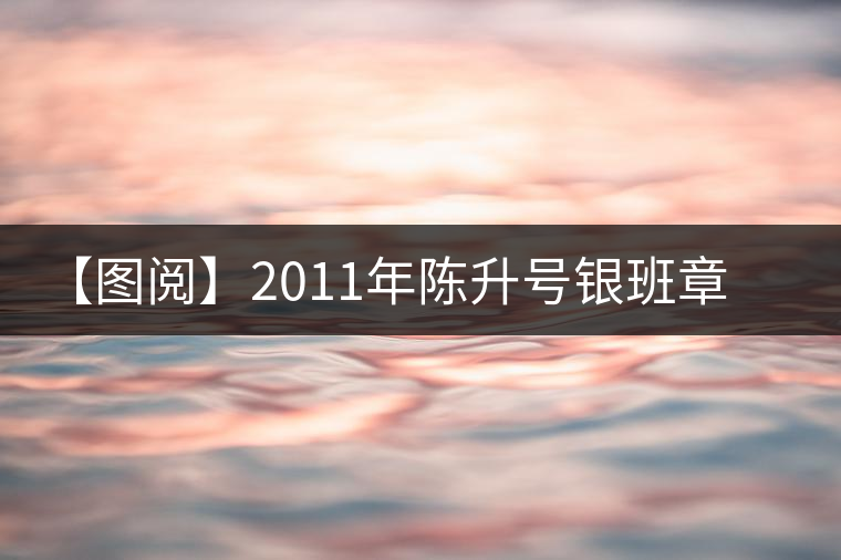 【圖閱】2011年陳升號銀班章開湯鑒賞