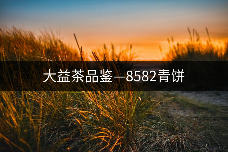 大益茶品鑒—8582青餅