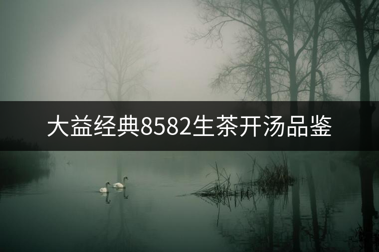 大益經典8582生茶開湯品鑒 大益經典8582生茶開湯品鑒