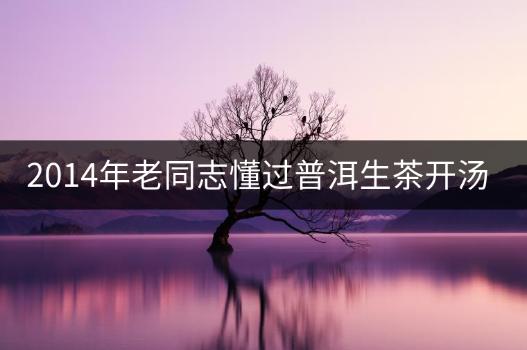 2014年老同志懂過(guò)普洱生茶開(kāi)湯品鑒
