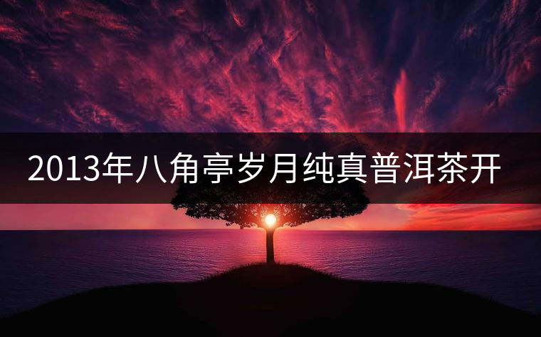 2013年八角亭歲月純真普洱茶開湯 2013年八角亭歲月純真普洱茶開湯