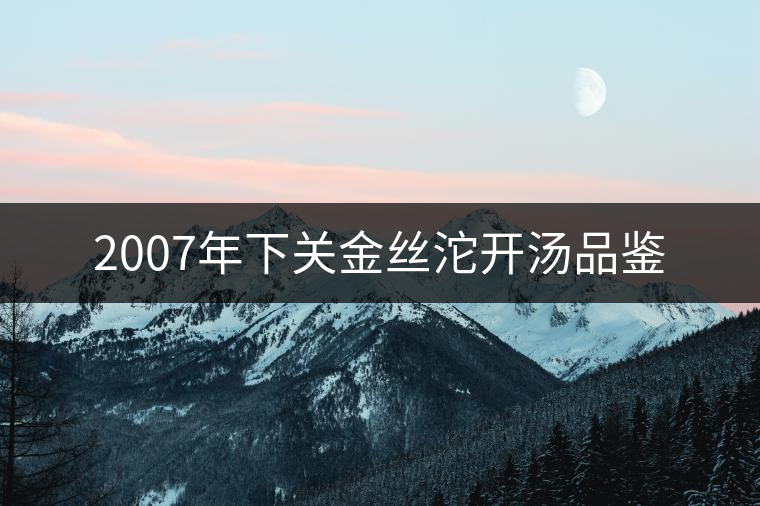 2007年下關(guān)金絲沱開湯品鑒 2007年下關(guān)金絲沱開湯品鑒