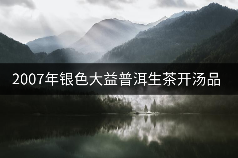 2007年銀色大益普洱生茶開湯品鑒