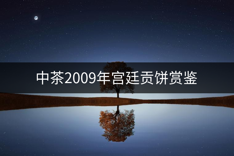 中茶2009年宮廷貢餅賞鑒