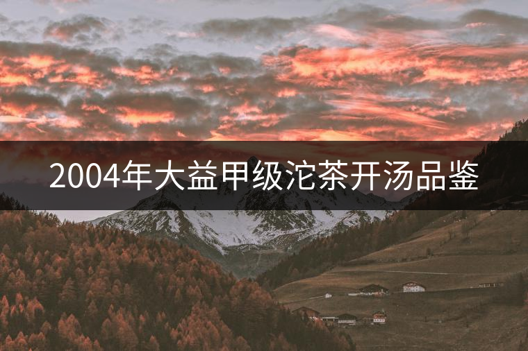 2004年大益甲級(jí)沱茶開湯品鑒