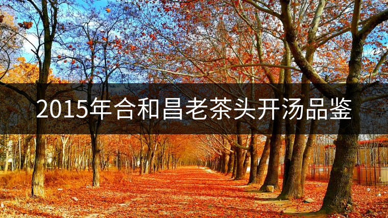 2015年合和昌老茶頭開湯品鑒 2015年合和昌老茶頭開湯品鑒