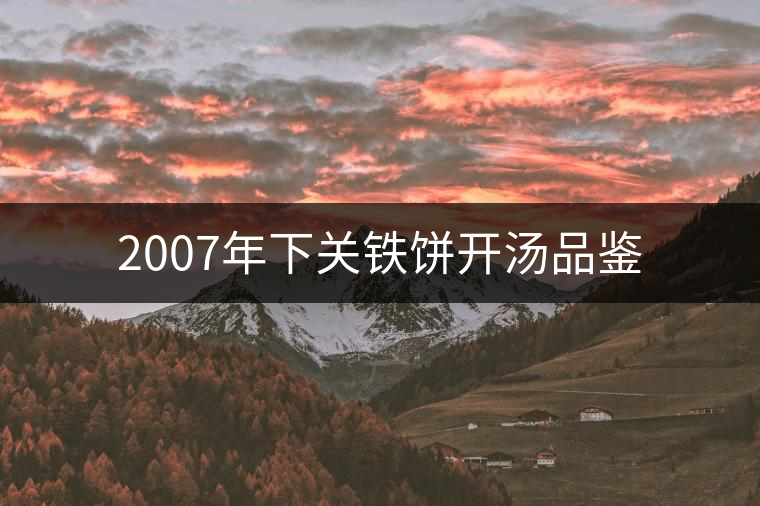2007年下關(guān)鐵餅開湯品鑒 2007年下關(guān)鐵餅開湯品鑒