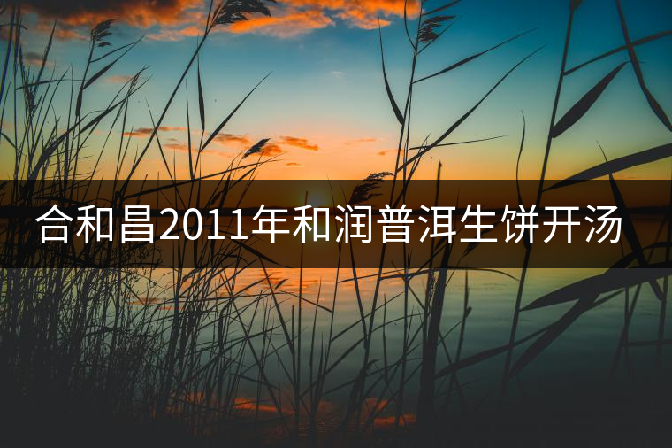 合和昌2011年和潤普洱生餅開湯品鑒