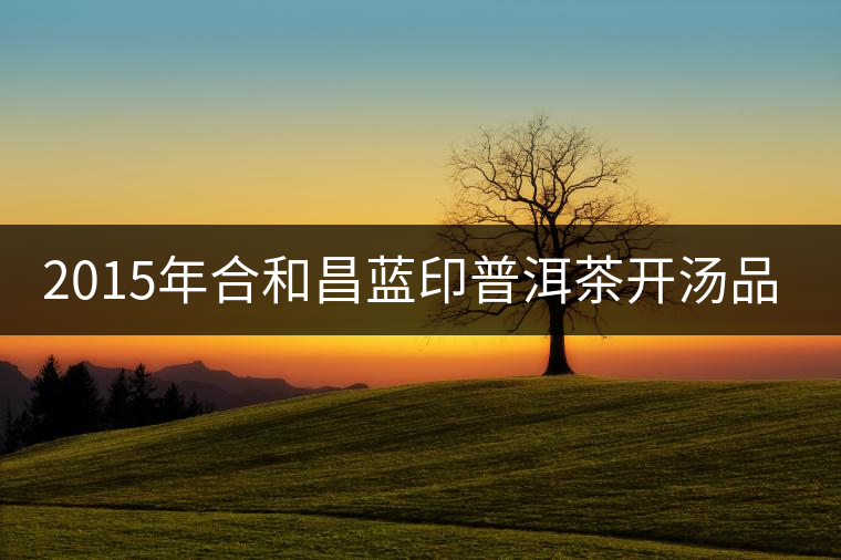 2015年合和昌藍印普洱茶開湯品鑒