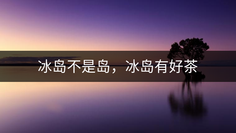 冰島不是島，冰島有好茶