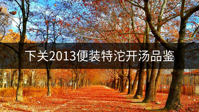下關(guān)2013便裝特沱開湯品鑒 下關(guān)2013便裝特沱開湯品鑒