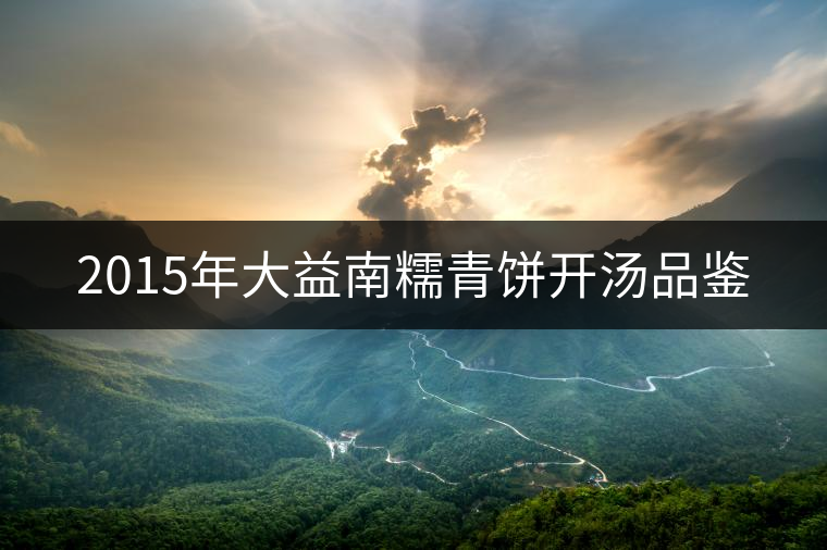 2015年大益南糯青餅開湯品鑒 2015年大益南糯青餅開湯品鑒