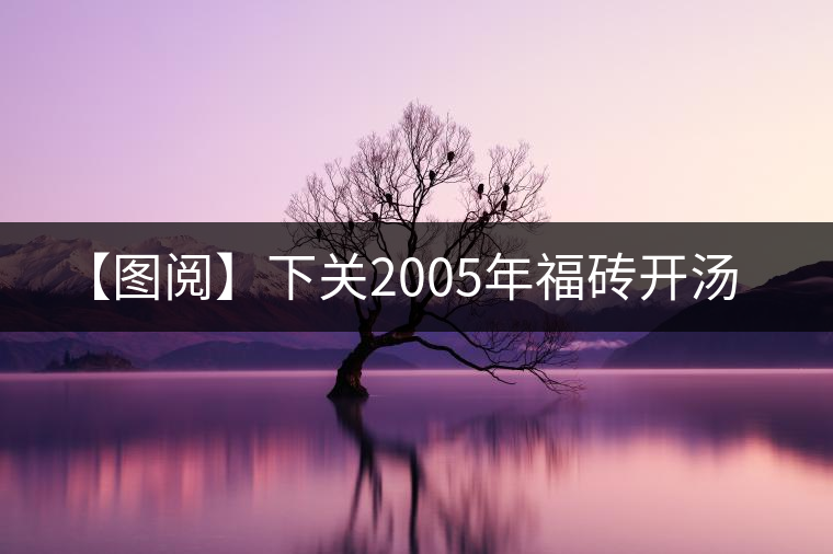 【圖閱】下關(guān)2005年福磚開湯