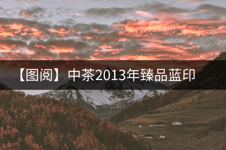 【圖閱】中茶2013年臻品藍印開湯