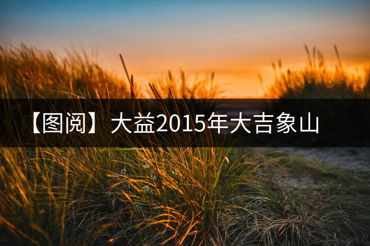 【圖閱】大益2015年大吉象山普洱茶開湯 【圖閱】大益2015年大吉象山普洱茶開湯