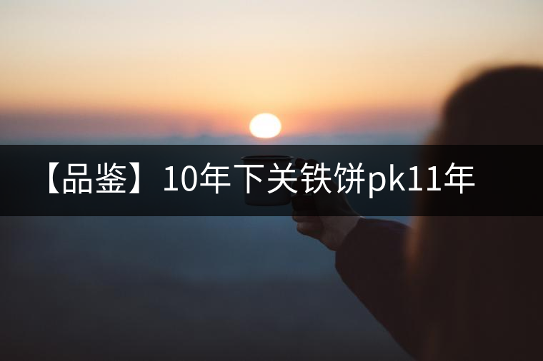 【品鑒】10年下關(guān)鐵餅pk11年下關(guān)鐵餅 【品鑒】10年下關(guān)鐵餅pk11年下關(guān)鐵餅