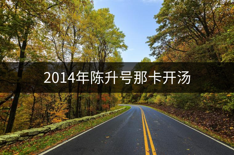 2014年陳升號那卡開湯 2014年陳升號那卡開湯