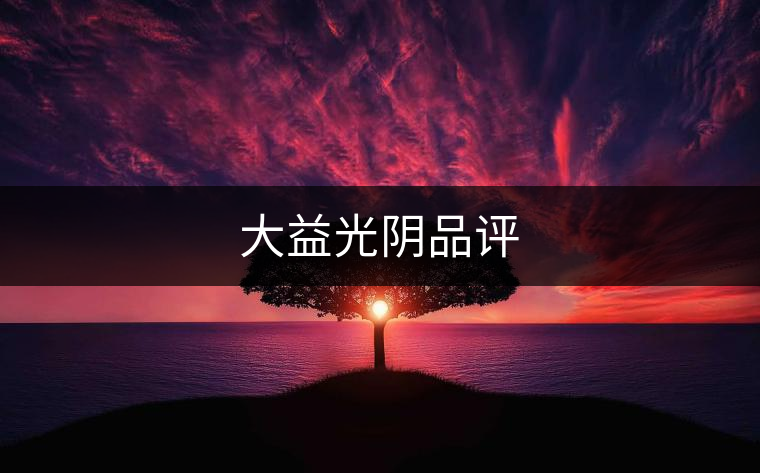大益光陰品評 大益光陰品評