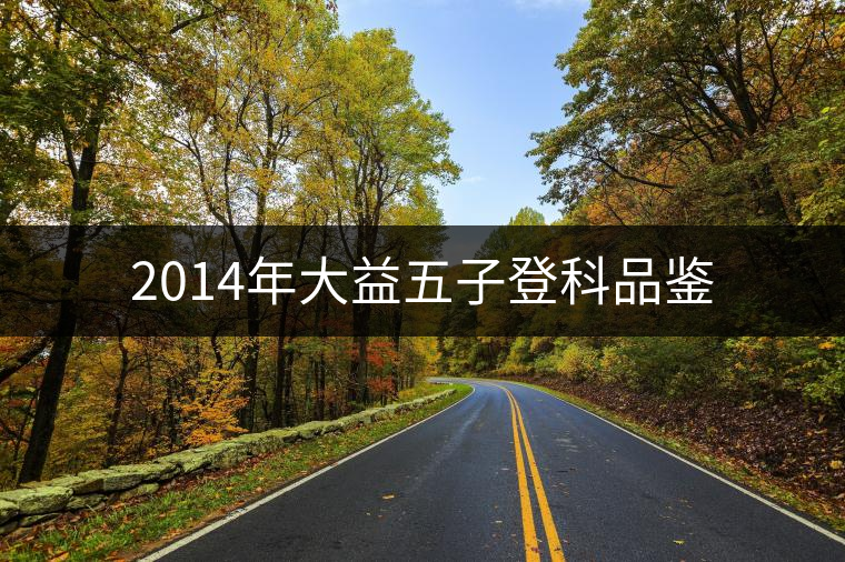 2014年大益五子登科品鑒