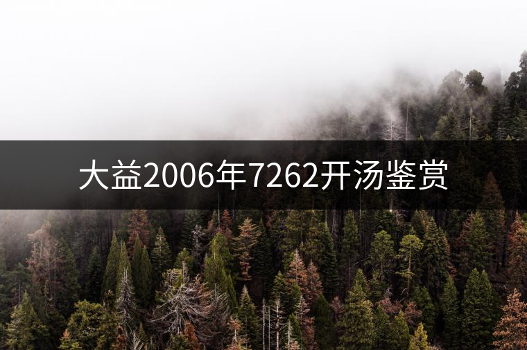大益2006年7262開湯鑒賞