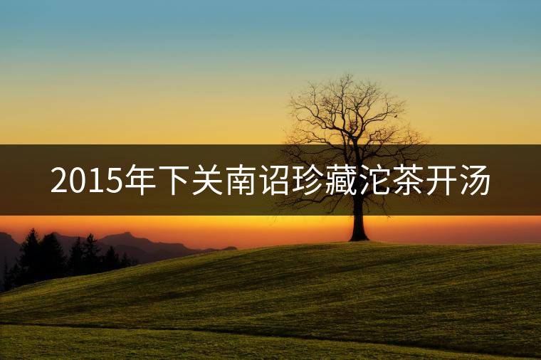 2015年下關南詔珍藏沱茶開湯 2015年下關南詔珍藏沱茶開湯