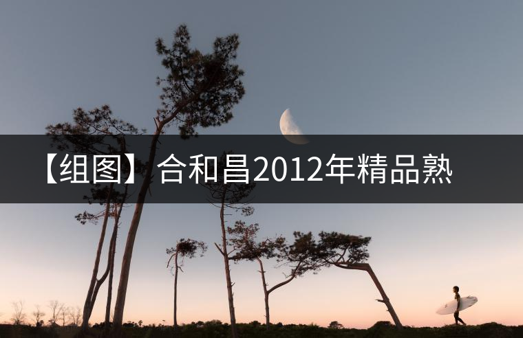 【組圖】合和昌2012年精品熟磚開(kāi)湯