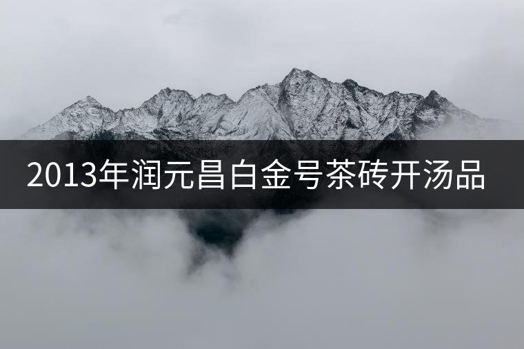 2013年潤元昌白金號茶磚開湯品鑒 2013年潤元昌白金號茶磚開湯品鑒
