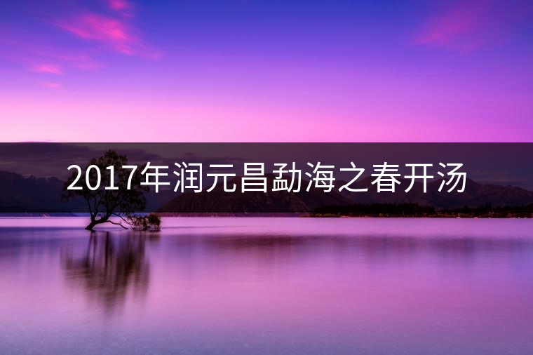 2017年潤(rùn)元昌勐海之春開(kāi)湯 2017年潤(rùn)元昌勐海之春開(kāi)湯