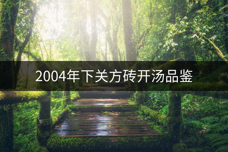 2004年下關(guān)方磚開湯品鑒