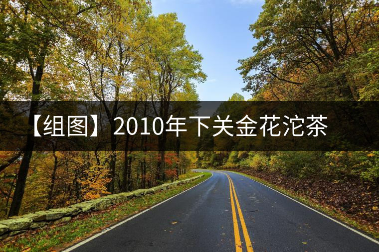【組圖】2010年下關(guān)金花沱茶開(kāi)湯