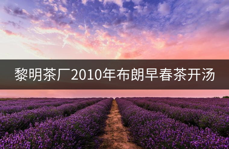 黎明茶廠2010年布朗早春茶開(kāi)湯