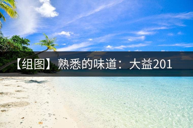 【組圖】熟悉的味道：大益2013年小龍柱開湯