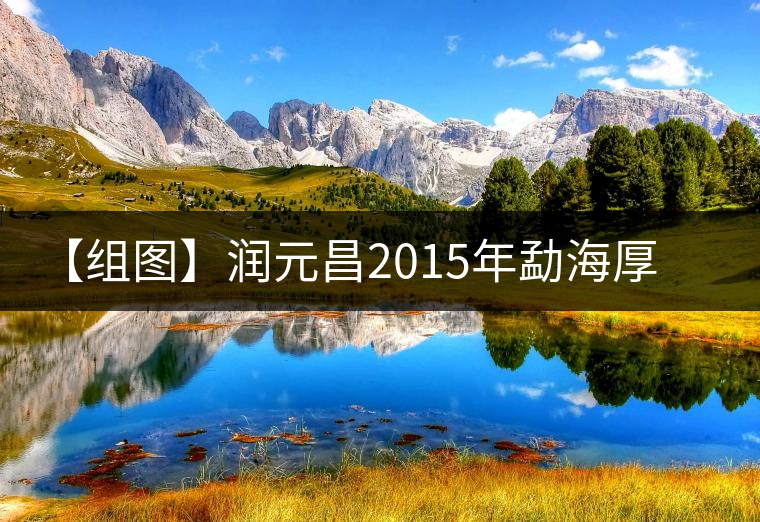 【組圖】潤元昌2015年勐海厚磚（熟）開湯