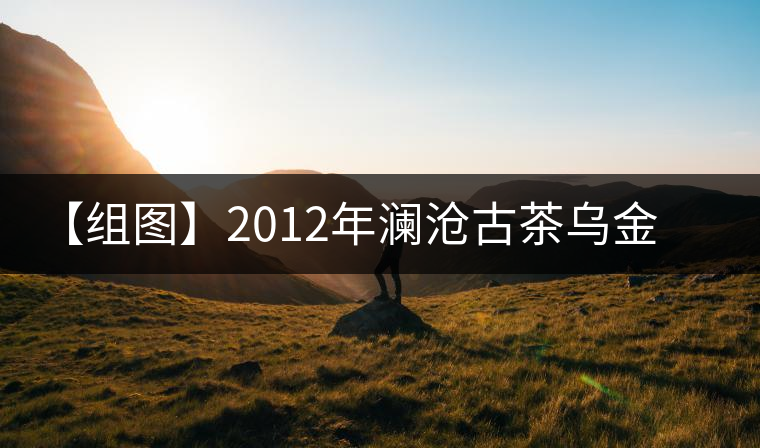 【組圖】2012年瀾滄古茶烏金磚開湯