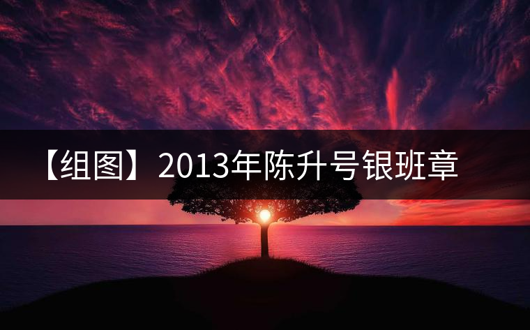 【組圖】2013年陳升號(hào)銀班章磚茶開湯