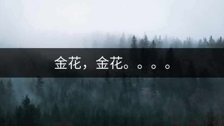 金花，金花。。。。