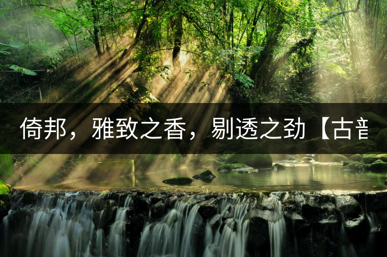 倚邦，雅致之香，剔透之勁【古普十二山品鑒】