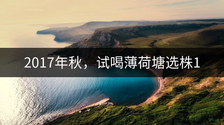 2017年秋，試喝薄荷塘選株1