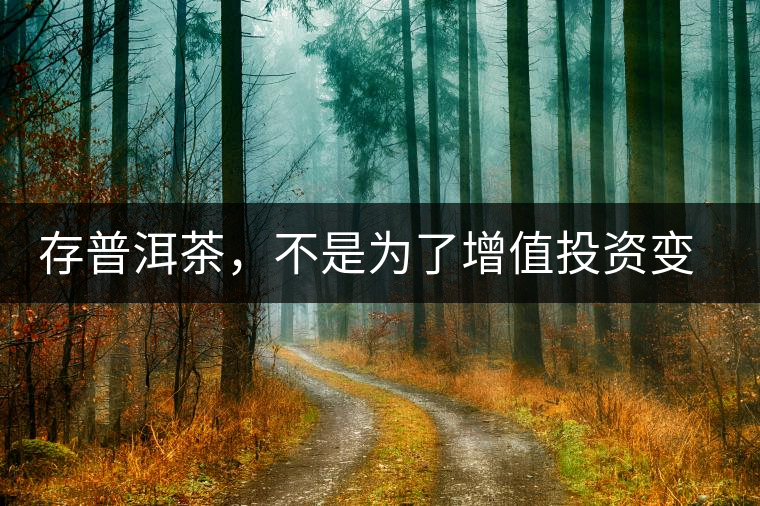 存普洱茶，不是為了增值投資變現(xiàn)，而是為了自己以后有純正的
