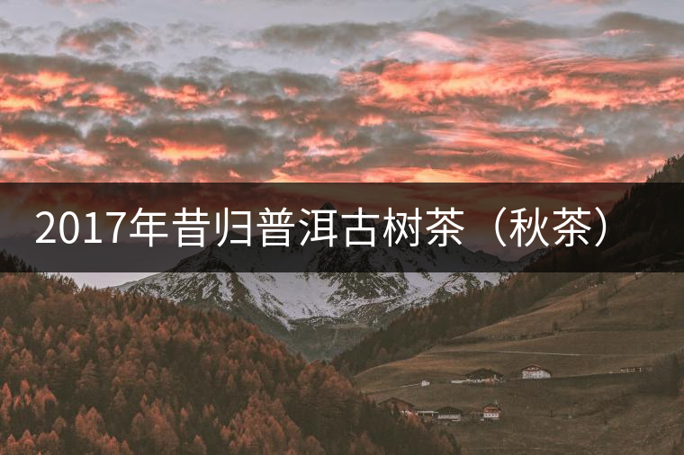 2017年昔歸普洱古樹茶(秋茶)品鑒報(bào)告 2017年昔歸普洱古樹茶(秋茶)品鑒報(bào)告