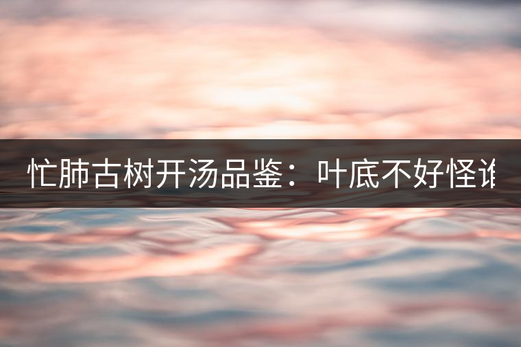 忙肺古樹開湯品鑒：葉底不好怪誰？