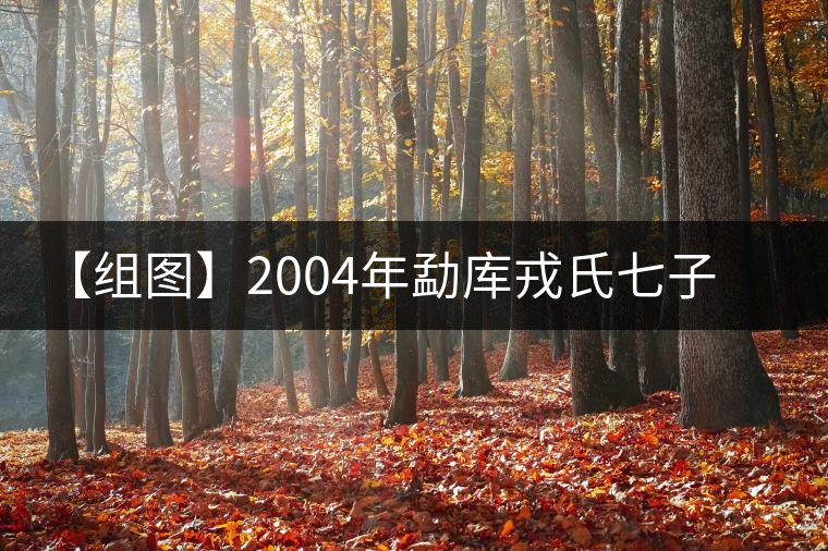 【組圖】2004年勐庫(kù)戎氏七子餅茶開(kāi)湯 【組圖】2004年勐庫(kù)戎氏七子餅茶開(kāi)湯