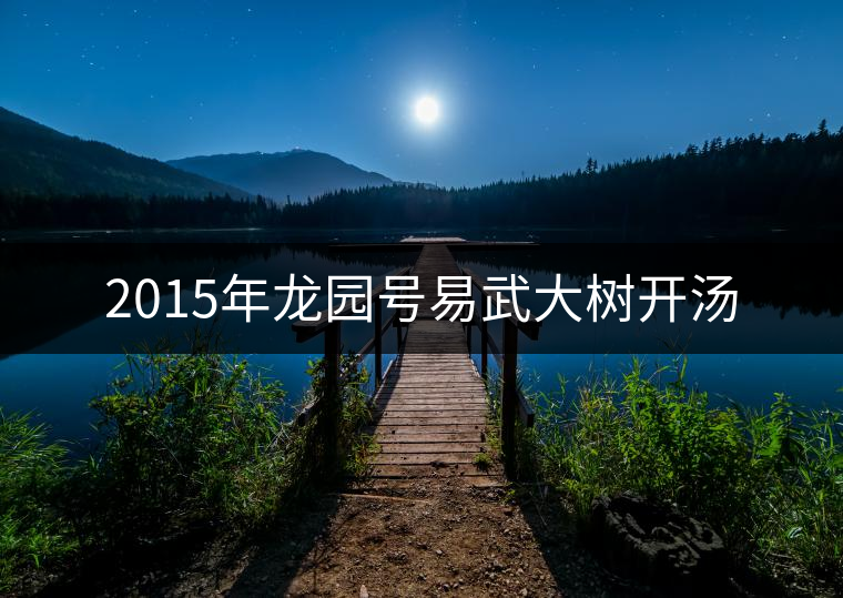 2015年龍園號(hào)易武大樹開湯