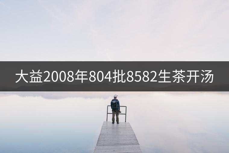 大益2008年804批8582生茶開湯